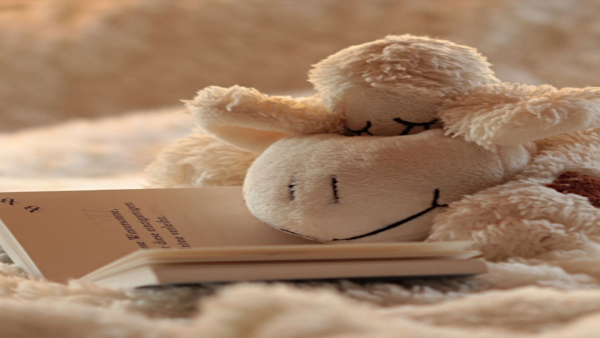 看取り介護とは？自宅・施設での看取りの違いと心構え【家族向け】